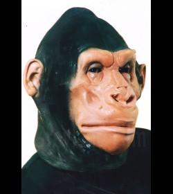 Queen Kong
