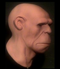 Homosapiens
