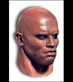 Bororo