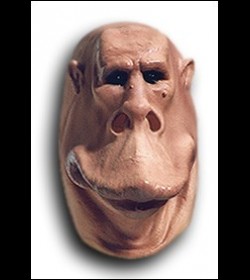 Mastnolabus